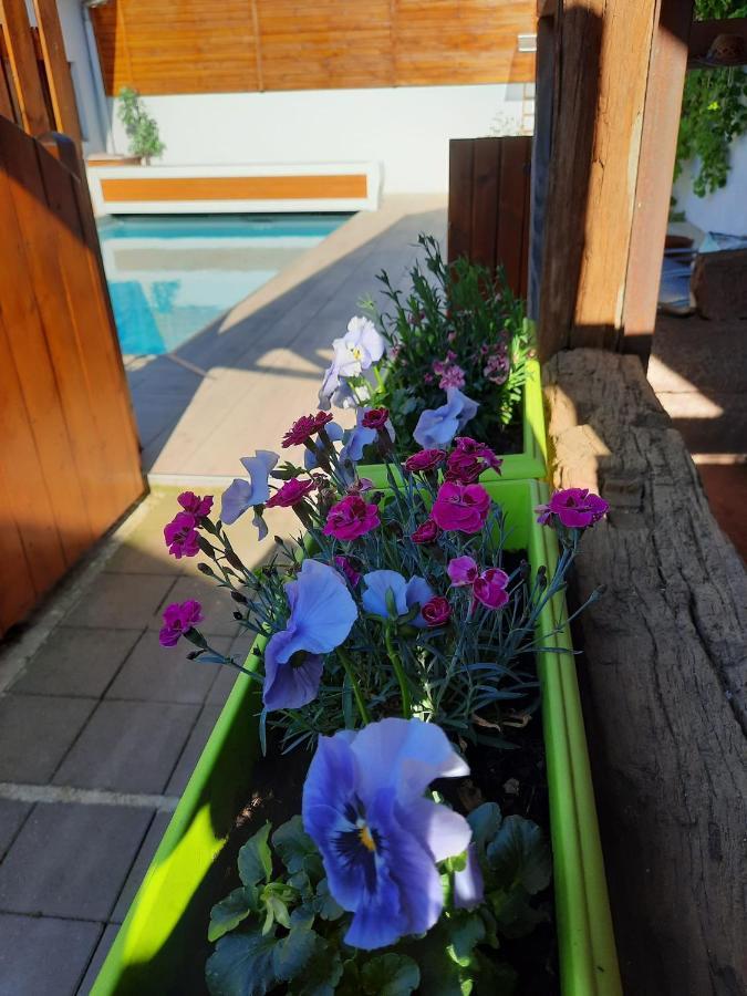 Oasis D'Alsace Villa Valff Eksteriør bilde